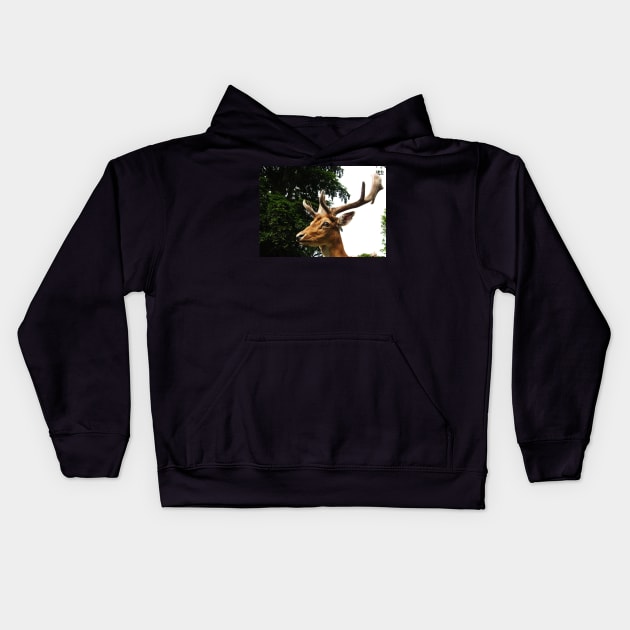 Portrait of a Deer Kids Hoodie by Ladymoose